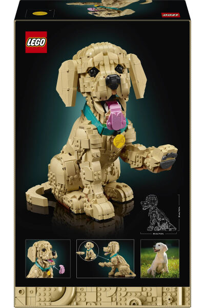 LEGO Icons Yavru Golden Retriever 11384