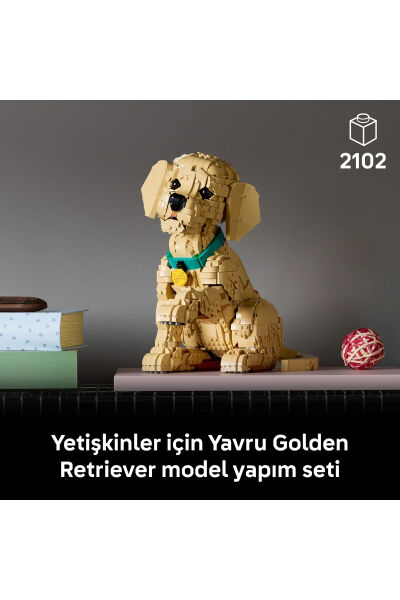 LEGO Icons Yavru Golden Retriever 11384