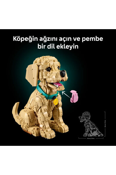 LEGO Icons Yavru Golden Retriever 11384