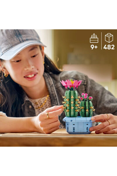 LEGO Botanicals Çiçekli Kaktüs 11509