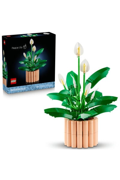 LEGO Botanicals Barış Çiçeği 11504