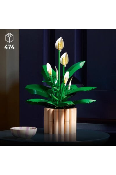 LEGO Botanicals Barış Çiçeği 11504