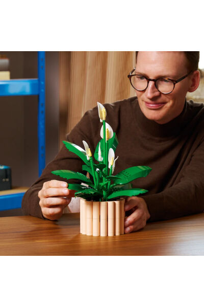 LEGO Botanicals Barış Çiçeği 11504