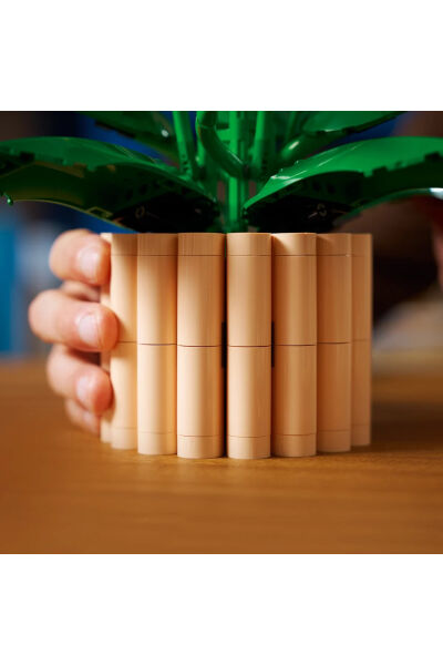 LEGO Botanicals Barış Çiçeği 11504