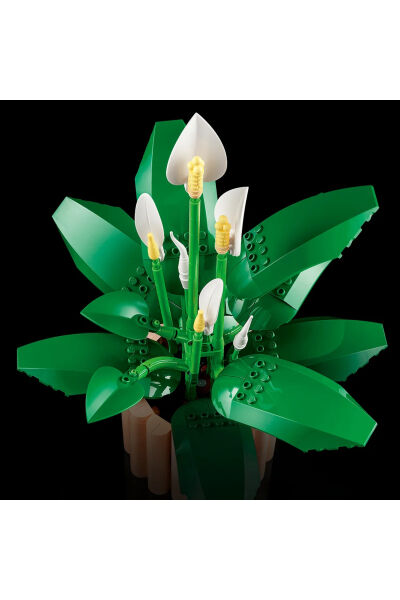 LEGO Botanicals Barış Çiçeği 11504