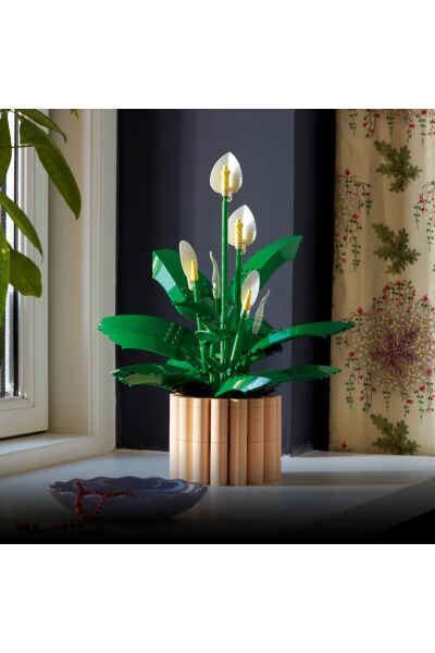 LEGO Botanicals Barış Çiçeği 11504