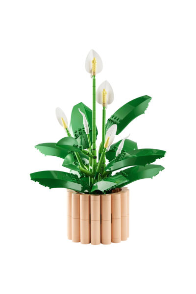 LEGO Botanicals Barış Çiçeği 11504