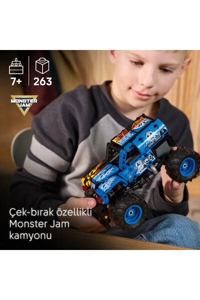LEGO Technic Monster Jam Grave Digger Ateş ve Buz 42219