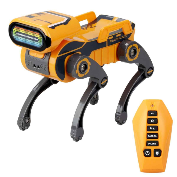 Robo Express Uzaktan Kumandalı Sesli Işıklı Robot