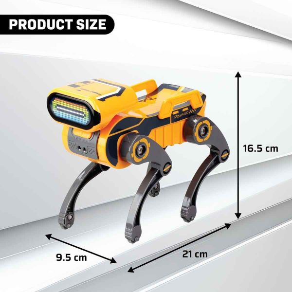 Robo Express Uzaktan Kumandalı Sesli Işıklı Robot