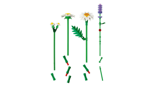 LEGO Botanicals Papatyalar 11508