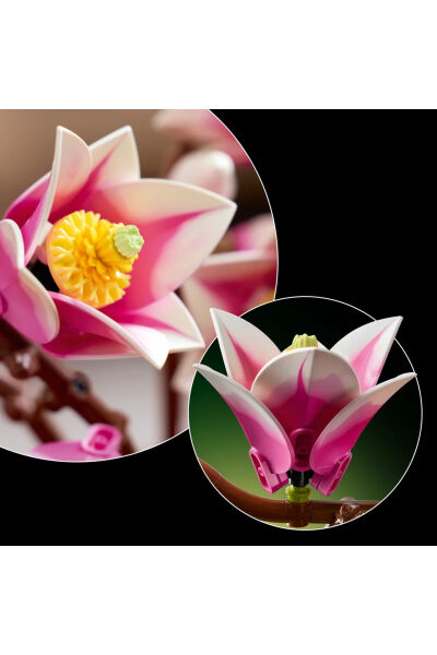 LEGO Botanicals Manolya Dalları 11510