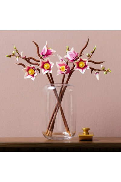 LEGO Botanicals Manolya Dalları 11510
