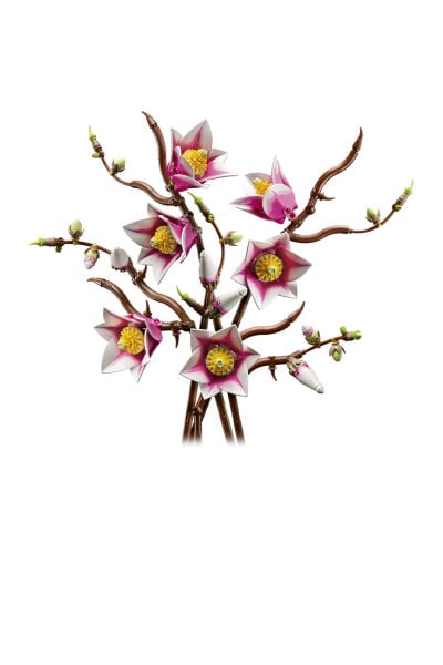 LEGO Botanicals Manolya Dalları 11510