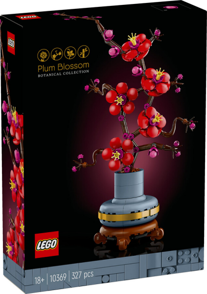 LEGO Botanicals Erik Çiçeği 10369