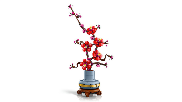 LEGO Botanicals Erik Çiçeği 10369
