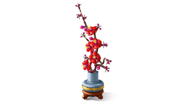 LEGO Botanicals Erik Çiçeği 10369