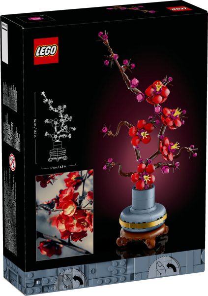 LEGO Botanicals Erik Çiçeği 10369