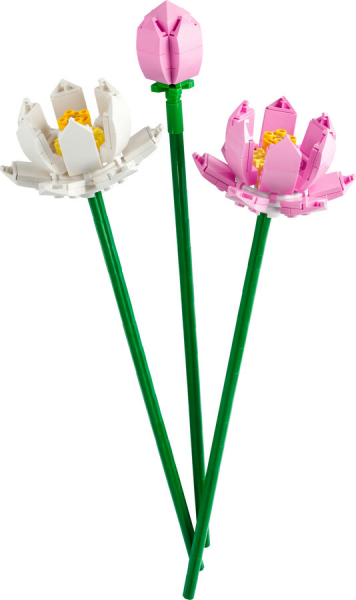 LEGO Botanicals Lotus Çiçekleri 40647