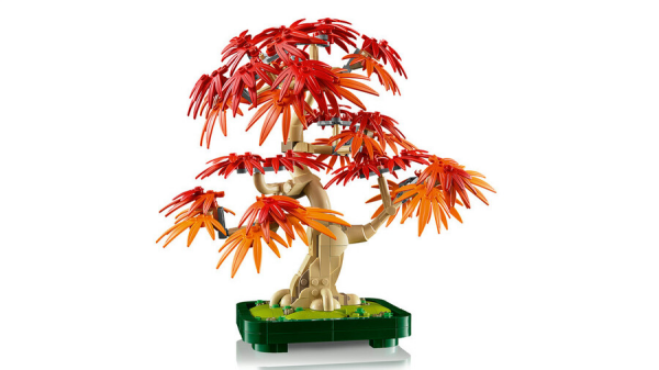 LEGO Botanicals Japon Kırmızı Akağaç Bonsai Ağacı 10348