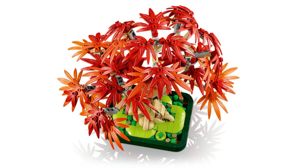 LEGO Botanicals Japon Kırmızı Akağaç Bonsai Ağacı 10348