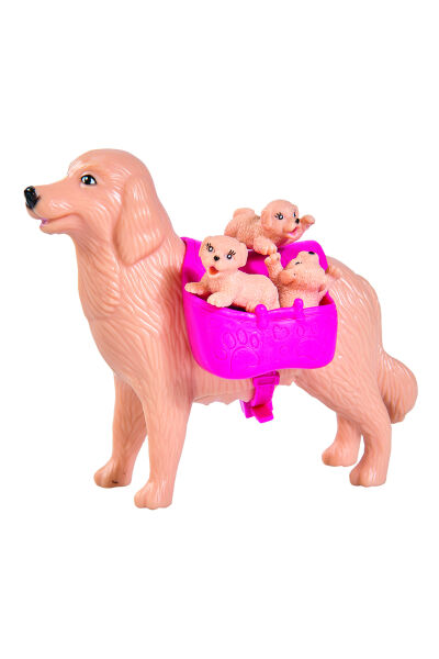 Evi Love Köpek Bakıcısı