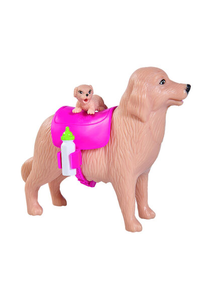 Evi Love Köpek Bakıcısı
