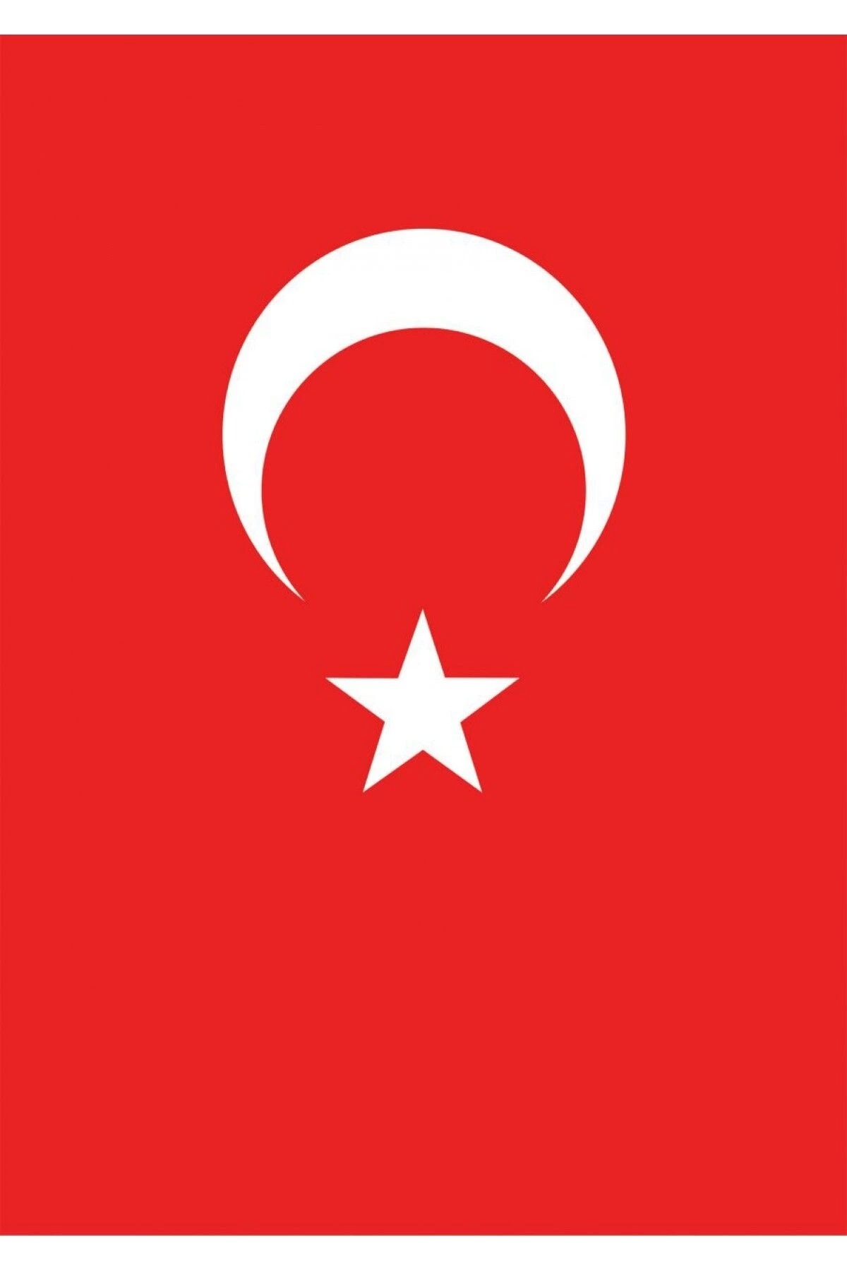 Türk Bayrağı 50x75 cm