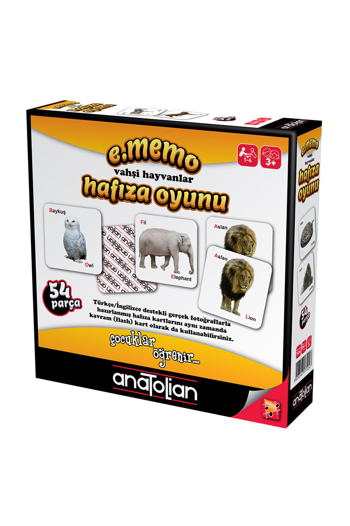 Anatolian Vahşi Hayvanlar Hafıza Oyunu