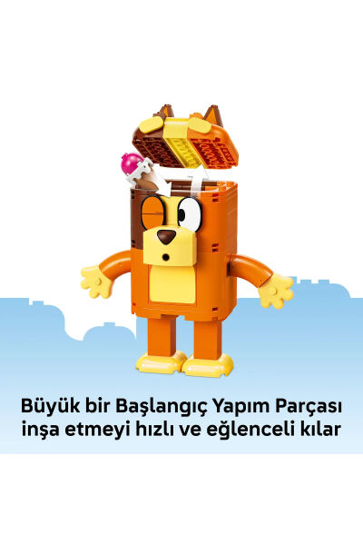 LEGO Bluey Parçalarla İnşa Edilen Bluey Ailesi 11217