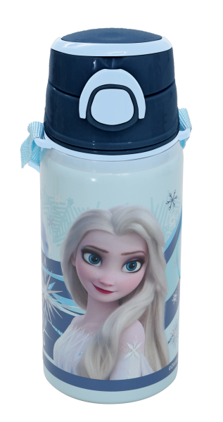 Frozen Çelik Matara Salto 500 ml Rider