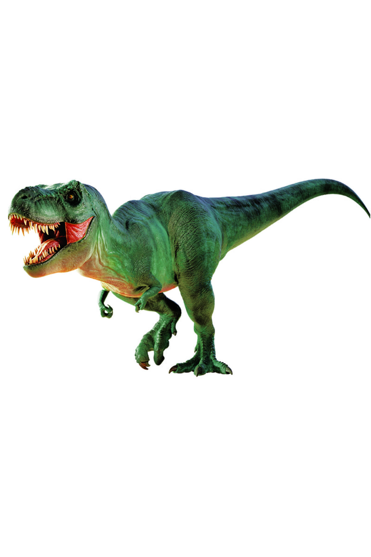 National Geographic Dino Kazı Kiti Seti