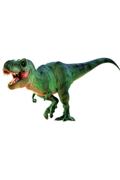 National Geographic Dino Kazı Kiti Seti